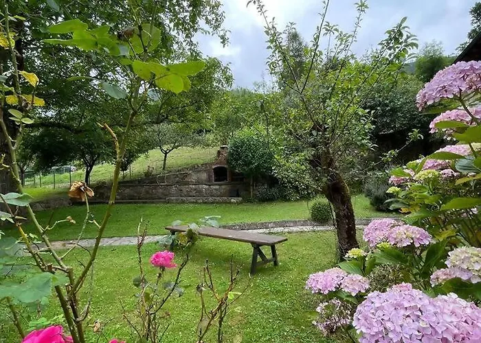 La Casona De Dario Dego